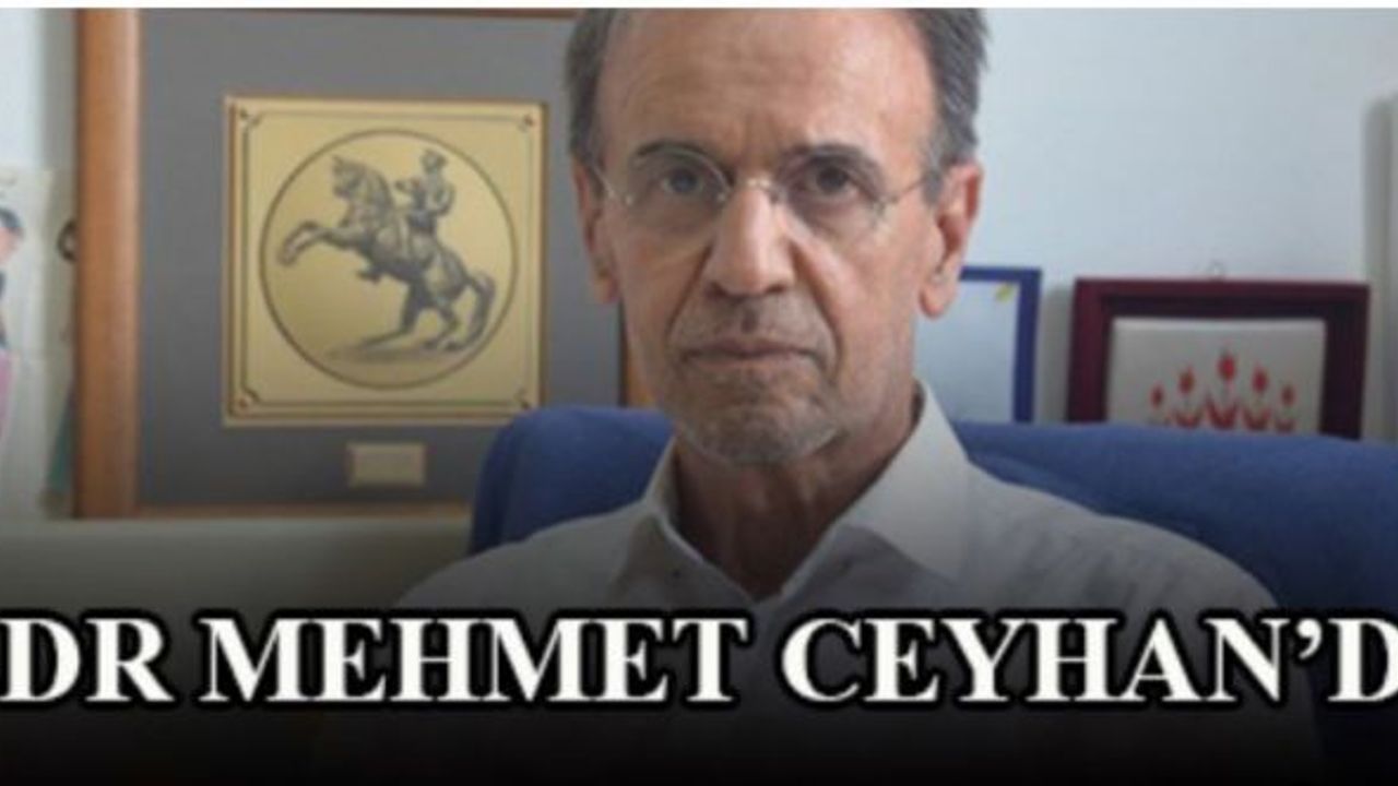 Prof. Mehmet Ceyhan'dan yine tepki oluşturacak açıklama